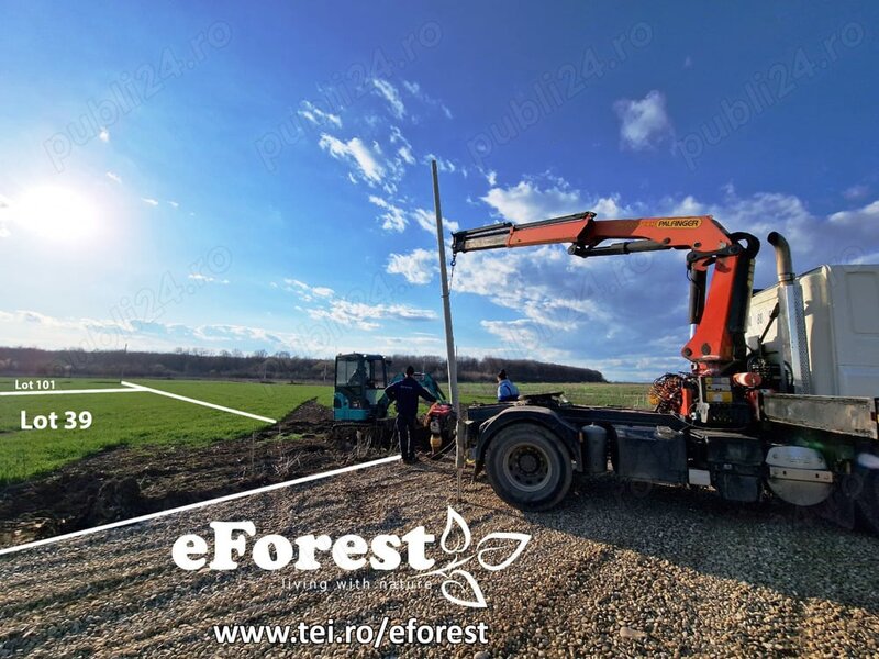 Crevedia, loturi de casa langa padure, eForest