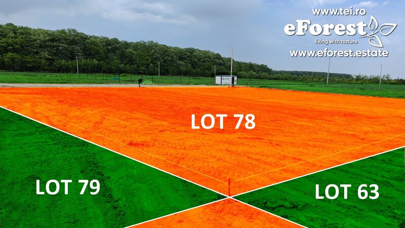 Crevedia, loturi de casa langa padure, eForest