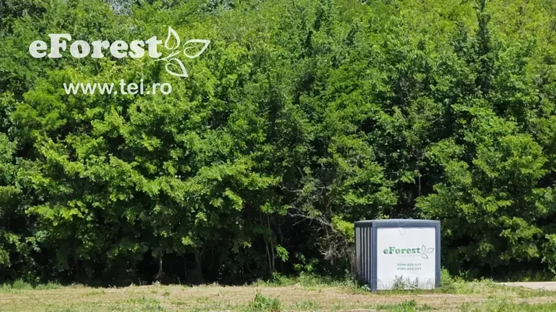 Crevedia, loturi de casa langa padure, eForest