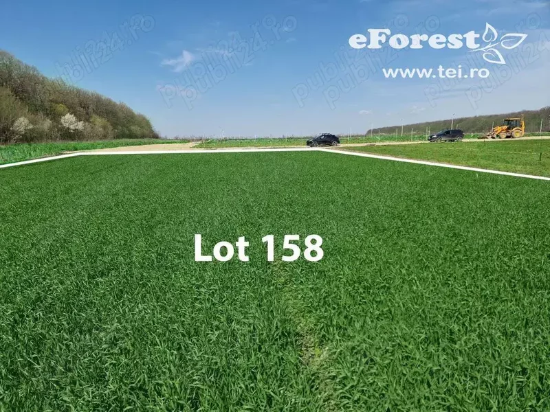 Crevedia, loturi de casa langa padure, eForest