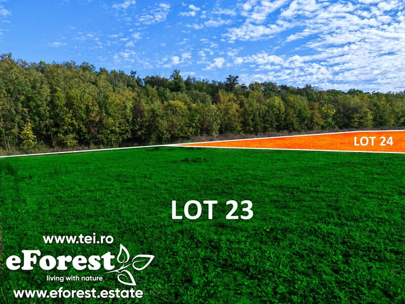 Crevedia, loturi de casa langa padure, eForest