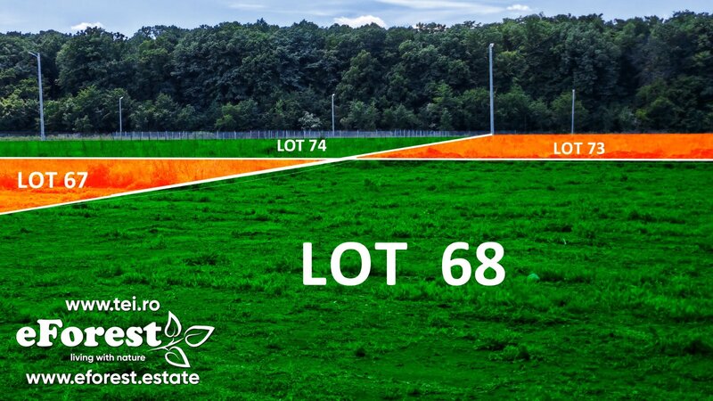 Crevedia, loturi de casa langa padure, eForest